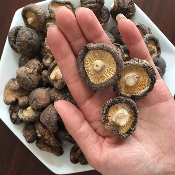 ؛r(nng)Ԯa(chn)㹽؛С㹽500g